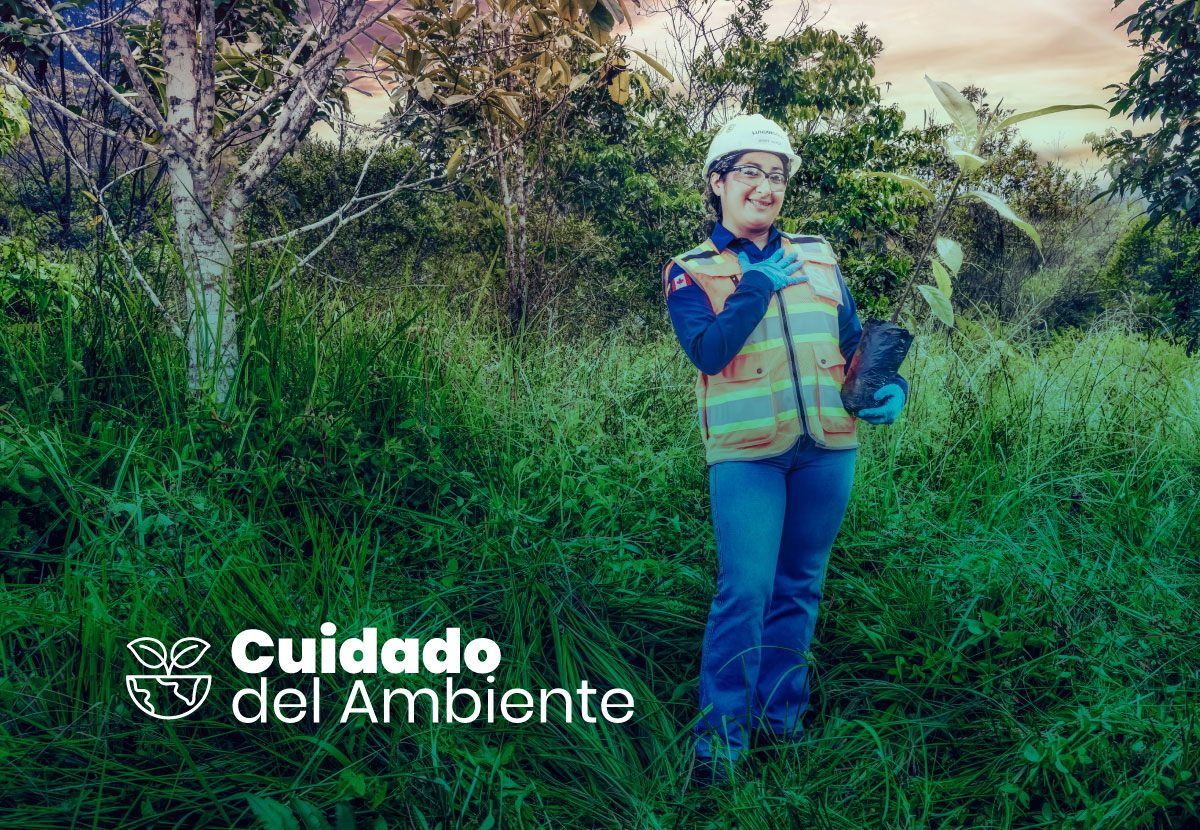 Cuidado del ambiente