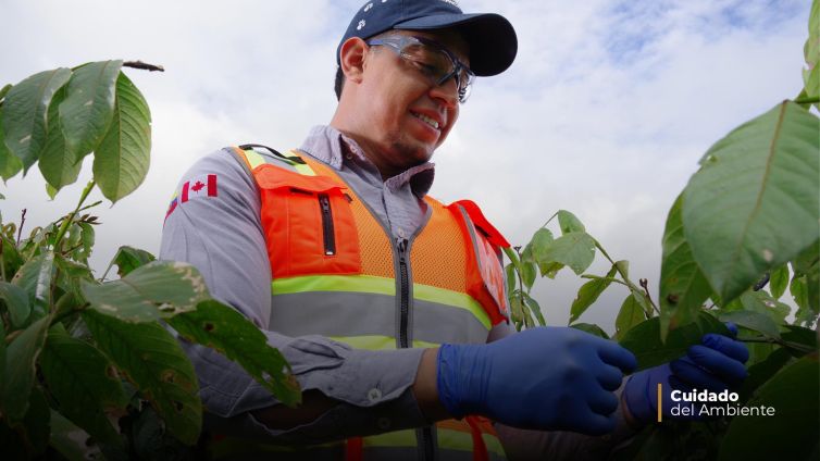 cuidado-del-ambiente-1